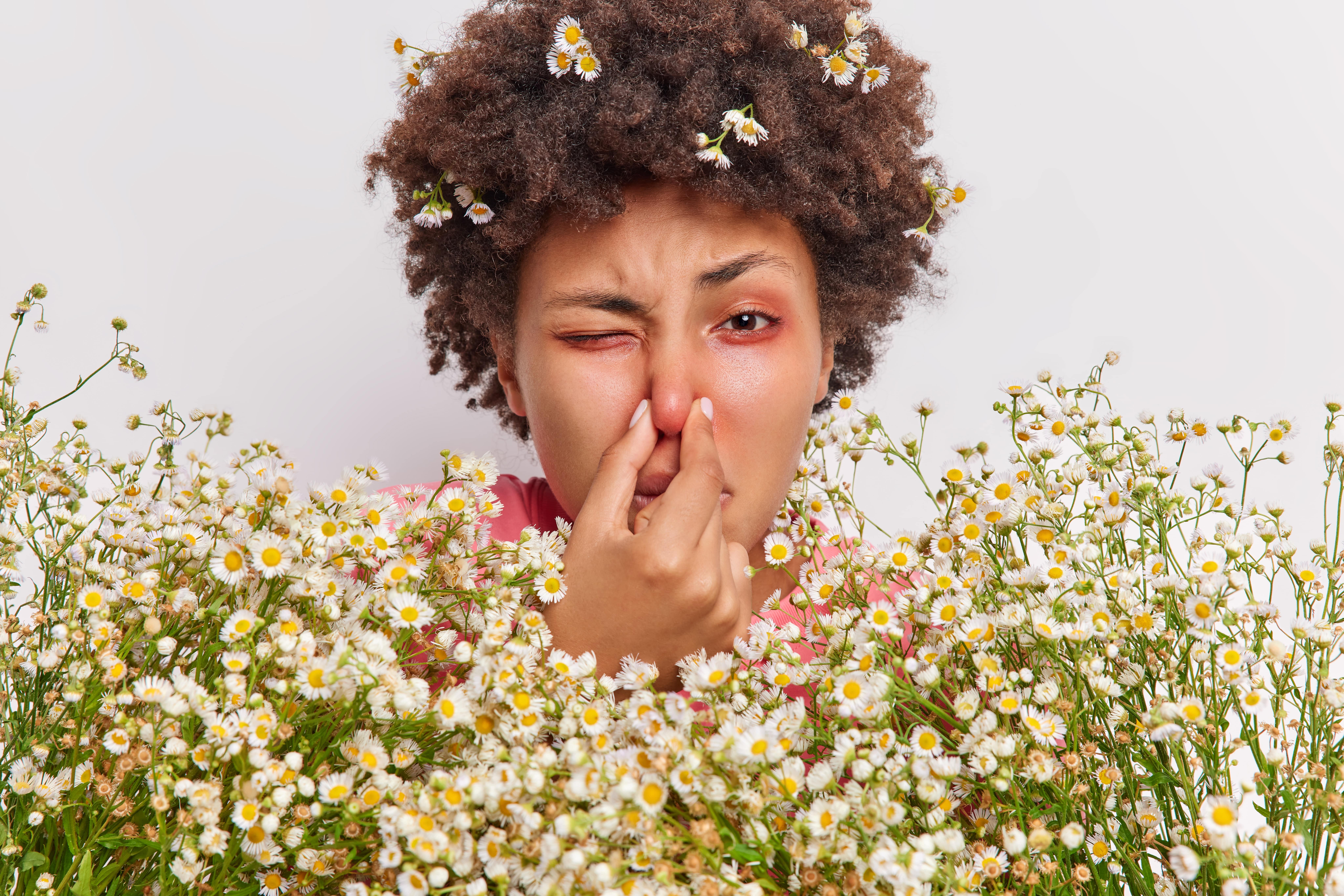 foto Perchè in primavera aumentano le allergie?